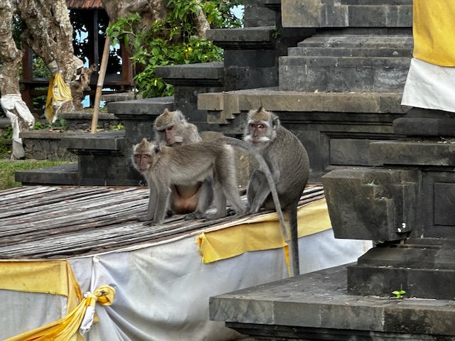 Temple2